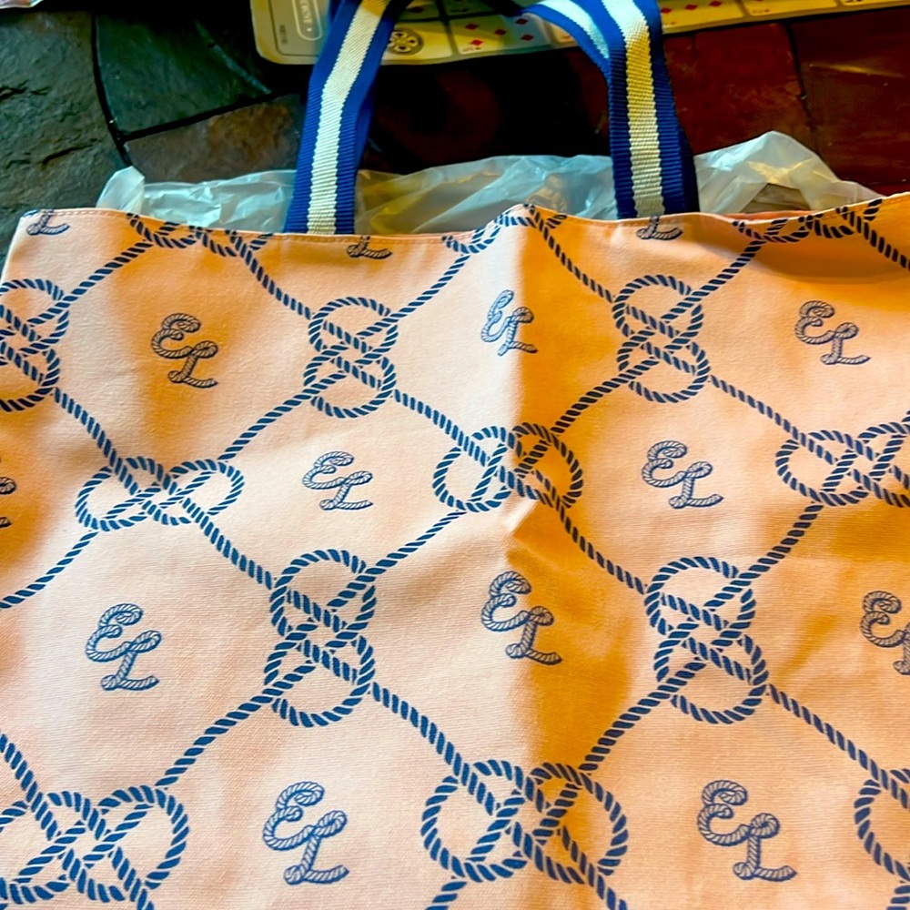 New in bag Estée Lauder lined bag look at pictures for size